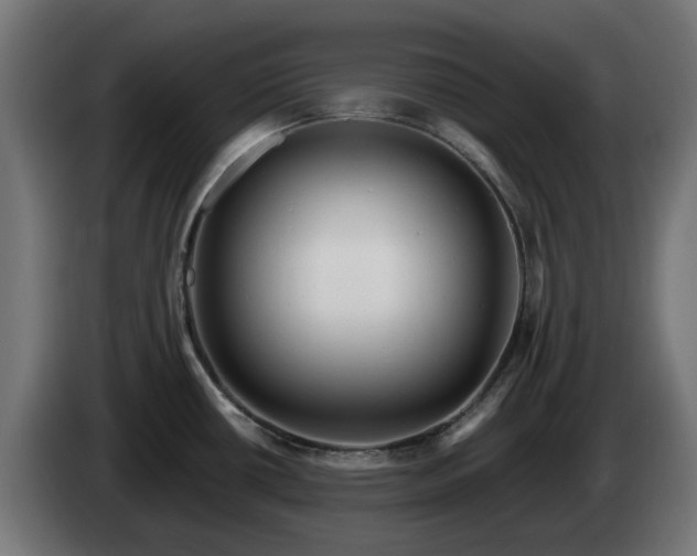 X0000084541434200703021433