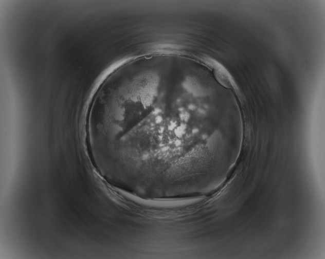 X0000084541435200703021433