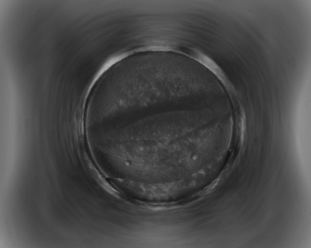 X0000084541436200703021433