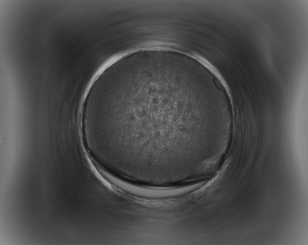 X0000084541437200703021434