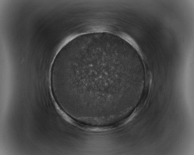 X0000084541439200703021434