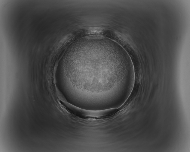 X0000084541441200703021433