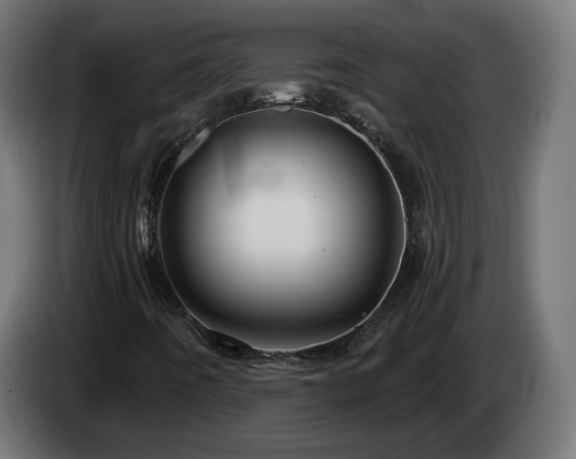 X0000084541442200703021433