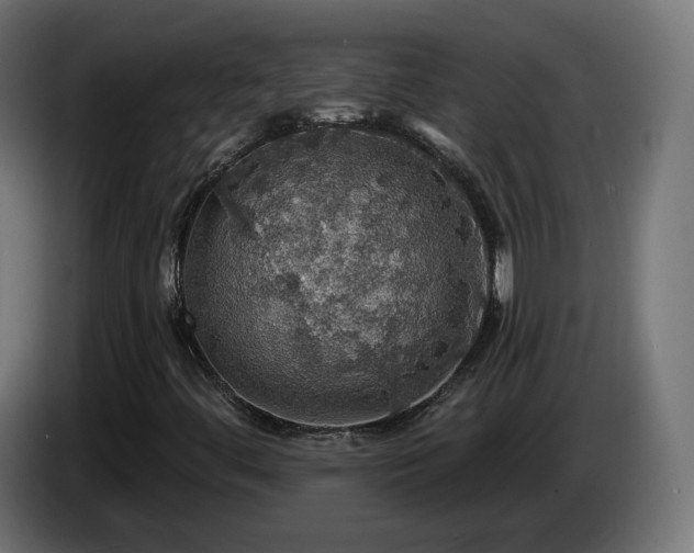 X0000084541444200703021433