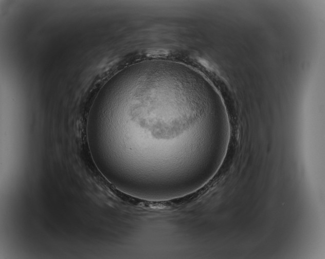 X0000084541445200703021433