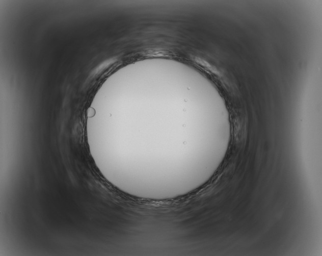 X0000084541446200703021433