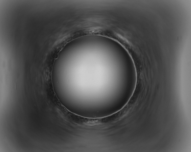 X0000084541447200703021433