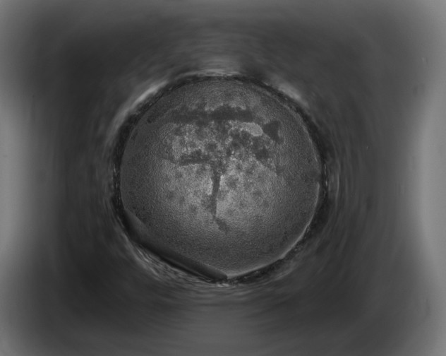 X0000084541448200703021433
