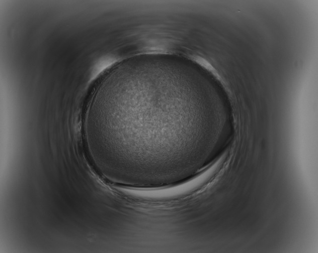 X0000084541450200703021433
