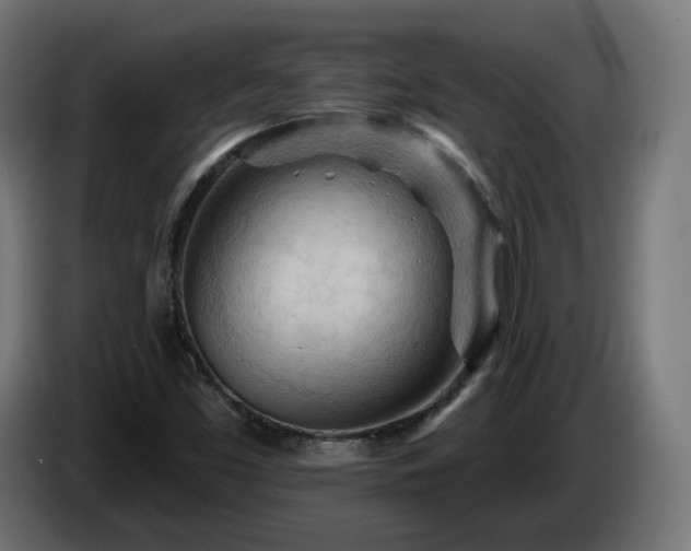 X0000084541453200703021433