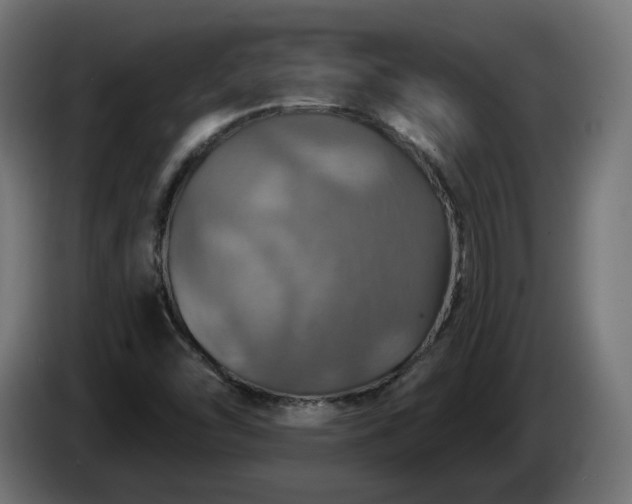 X0000084541454200703021433