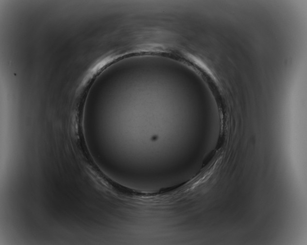 X0000084541455200703021433