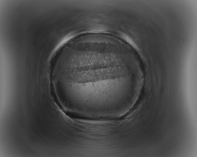 X0000084541456200703021433