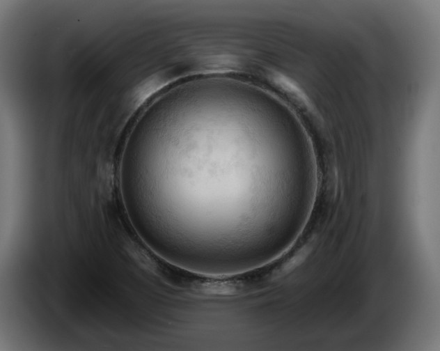 X0000084541457200703021433