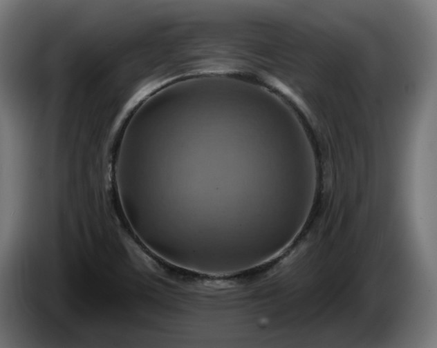 X0000084541459200703021433