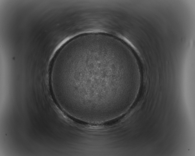 X0000084541460200703021433
