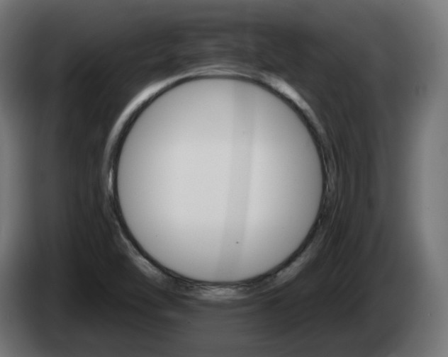 X0000084541462200703021433