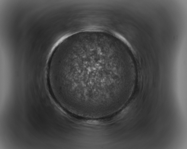 X0000084541463200703021433