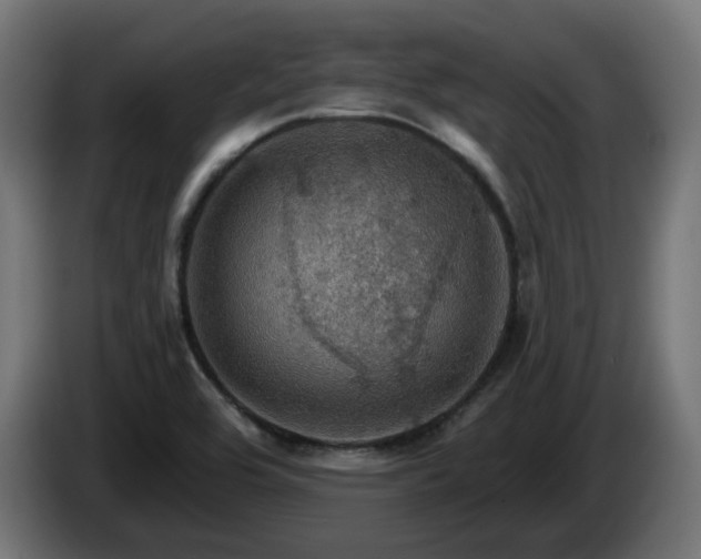 X0000084541464200703021432