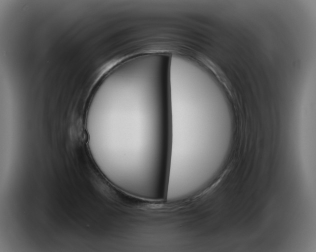 X0000084541465200703021432