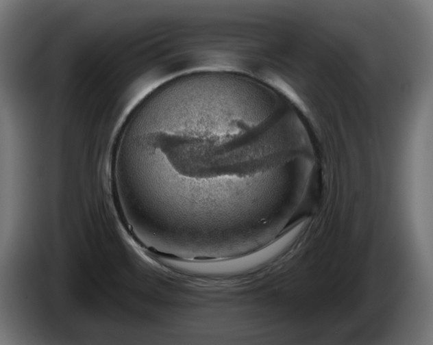 X0000084541468200703021432