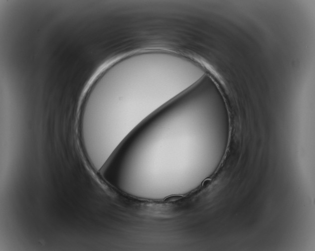 X0000084541469200703021432