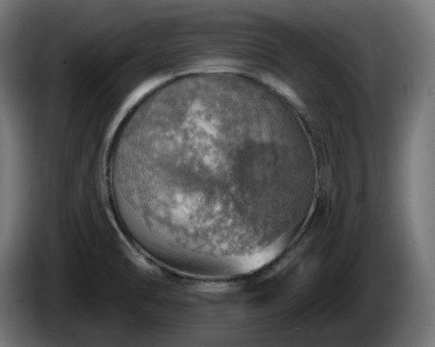 X0000084541470200703021432