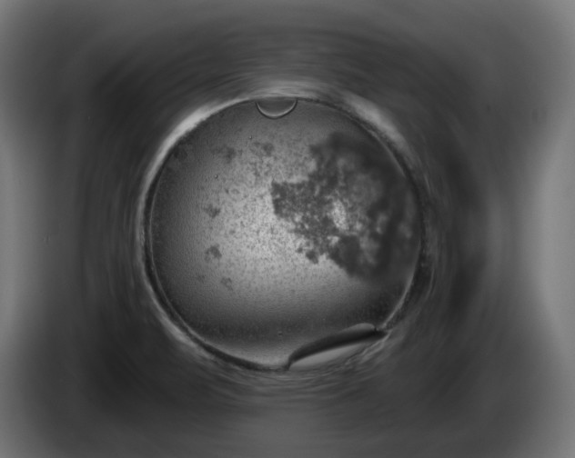 X0000084541471200703021432