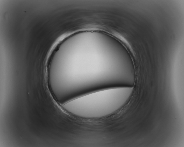 X0000084541472200703021432