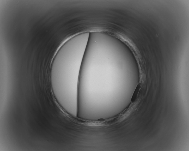 X0000084541473200703021432