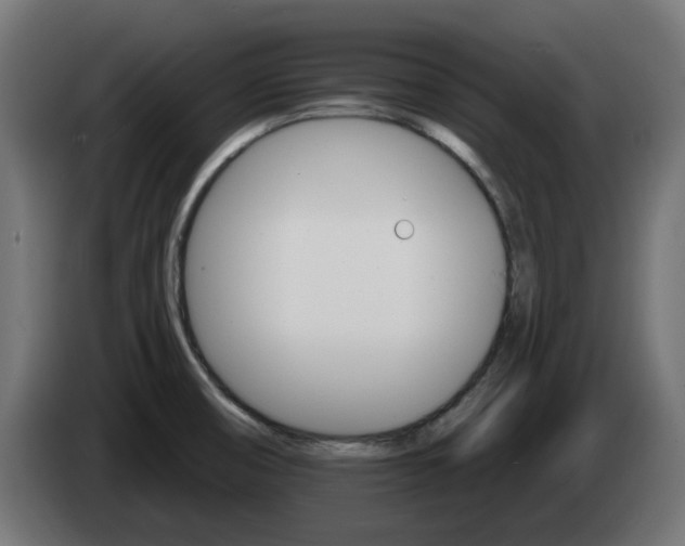 X0000084541474200703021432