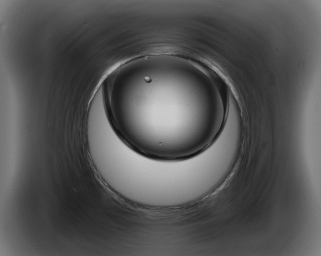 X0000084541481200703021432