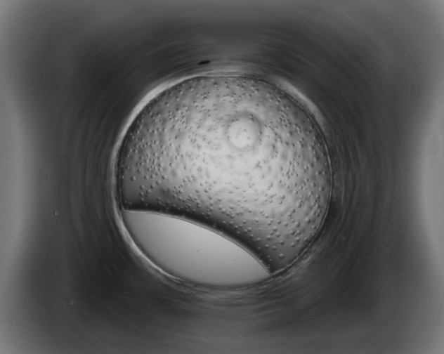 X0000084541483200703021432