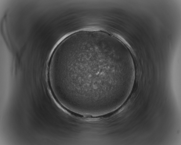 X0000084541484200703021432