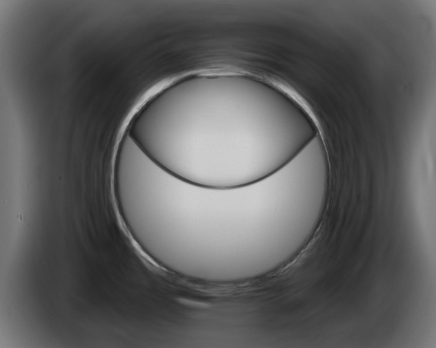 X0000084541485200703021432