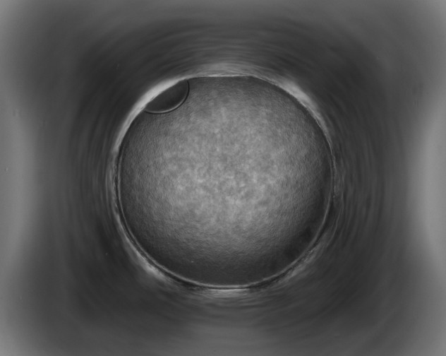 X0000084541486200703021432