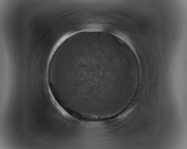 X0000084541488200703021432