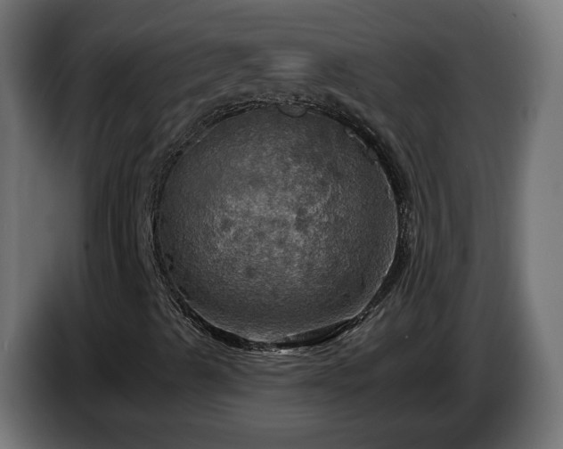 X0000084541489200703021431