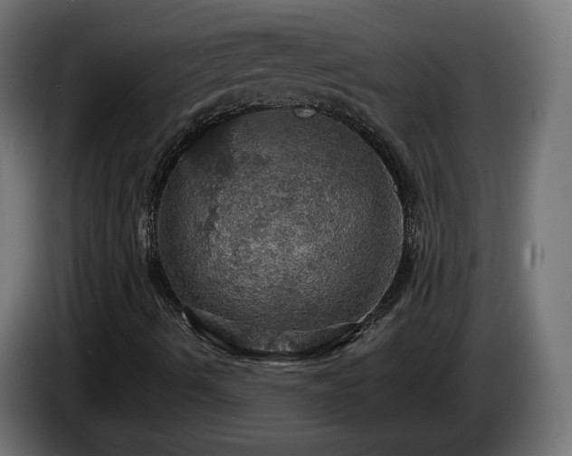 X0000084541490200703021431