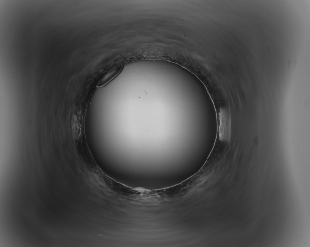 X0000084541491200703021431
