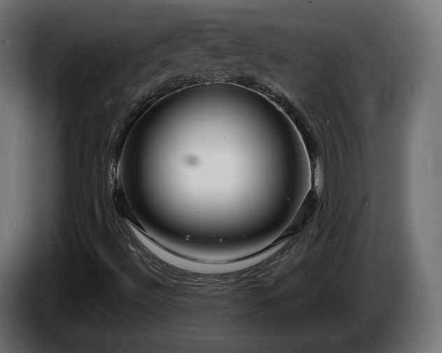 X0000084541492200703021431