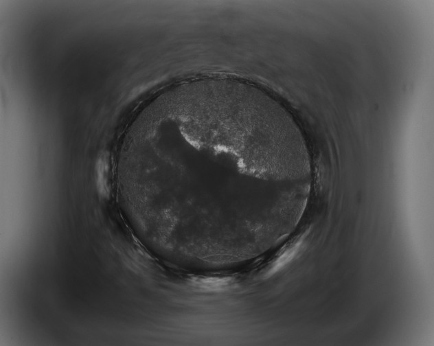 X0000084541494200703021432