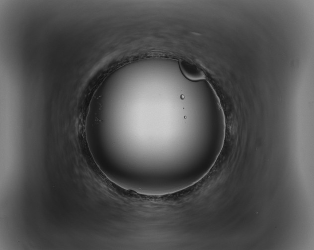 X0000084541495200703021432