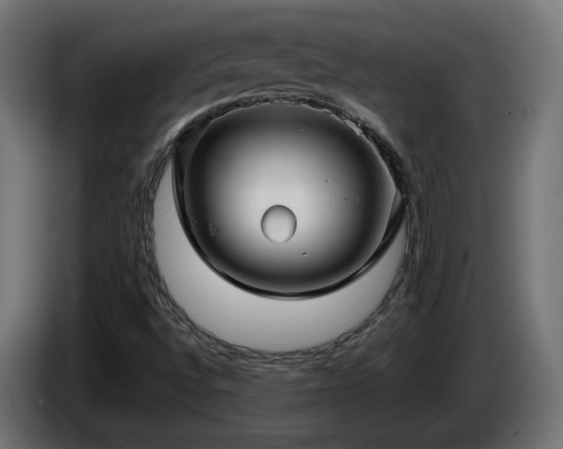 X0000084541496200703021432