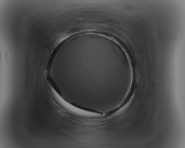 X0000084541497200703021432