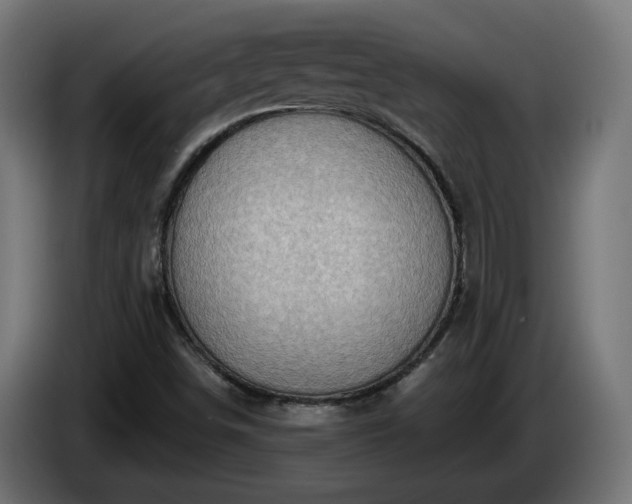 X0000084541498200703021432