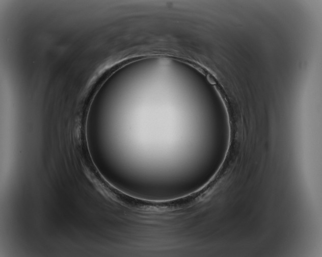 X0000084541499200703021432