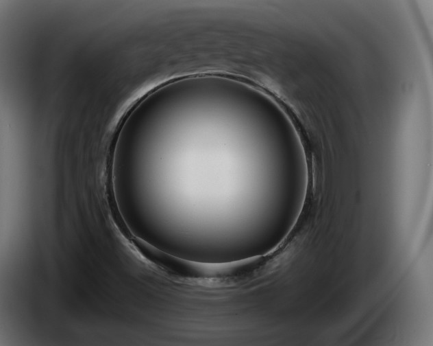 X0000084541500200703021432