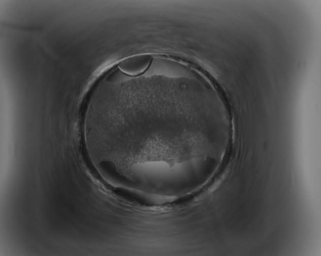X0000084541501200703021432