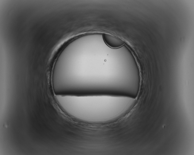 X0000084541503200703021432